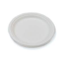 FLOW Bagasse Plate (9'') x 500